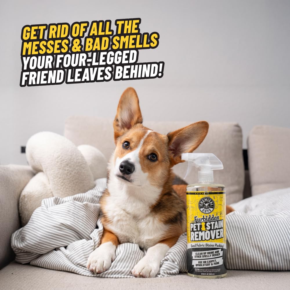 Chemical Guys Pet Mess Cleaning Kit, Furbidden Odor Eliminator 16 oz with Interior Detailing Brush Cleans, Pet Smells, Hair and Light Dirt for Cars Trucks SUVs Home Interiors and Upholstery Care - Image 6